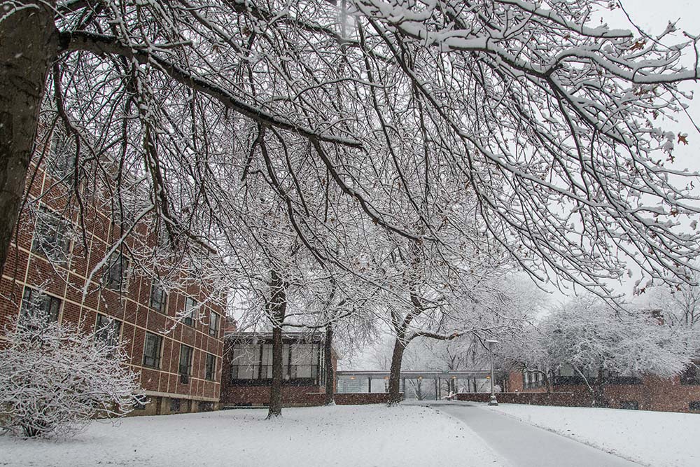 Snowfall Daily Photo Dec 02 2014 Binghamton University 