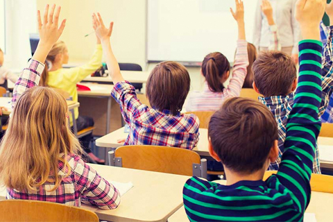 NEW: Harpur (excluding BMus majors)/ MA in TESOL 4+1 Program photo