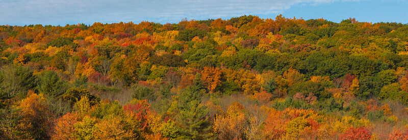 Homecoming: Schedule | Alumni Association | Binghamton University