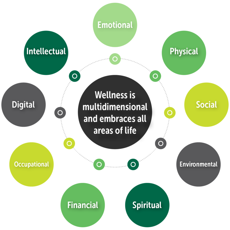 Model of the nine dimensions of wellness photo