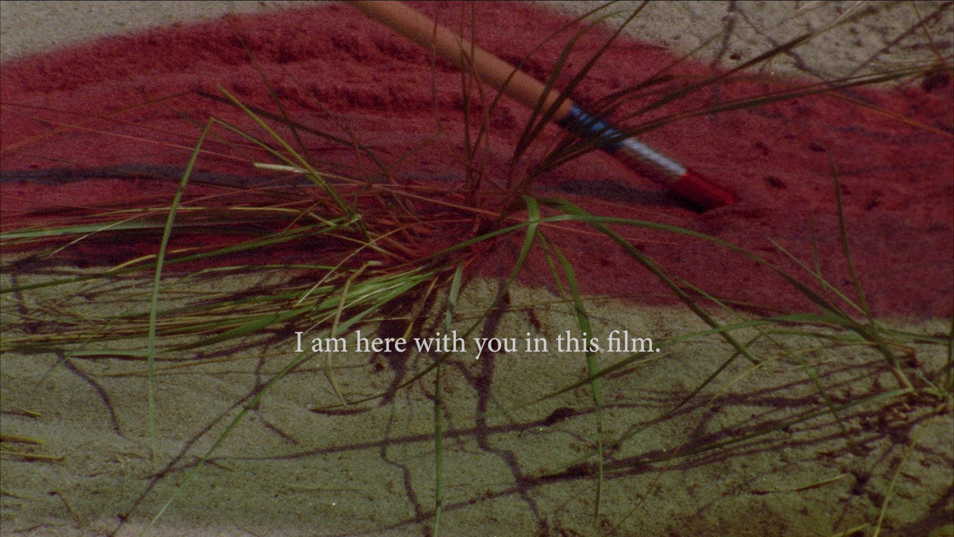 film still by lynne sachs