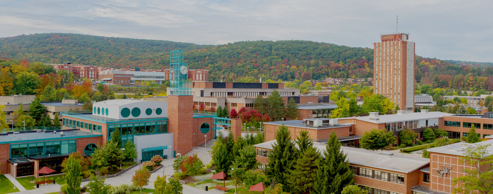 Binghamton University