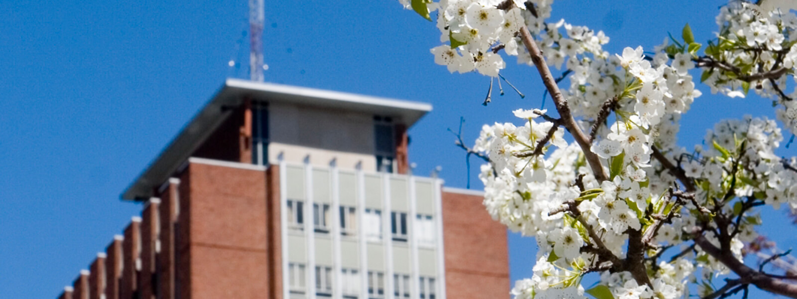 Library Renovations | Libraries | Binghamton University