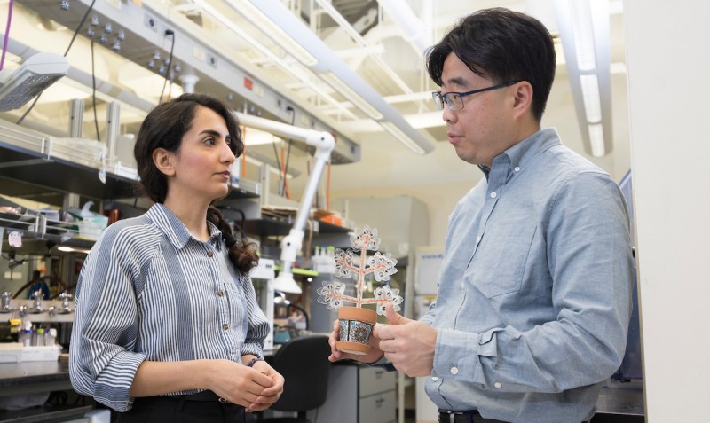 Binghamton doctoral student Maryam Rezaie, left, and Professor Seokheun “Sean” Choi have developed artificial plants that can feed off carbon dioxide, give off oxygen and generate power.