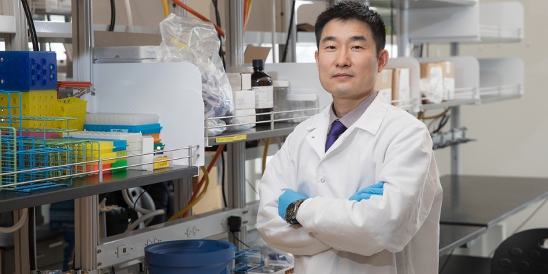 Tao Zhang joined the School of Pharmacy and Pharmaceutical Sciences in January 2022 as an assistant professor.