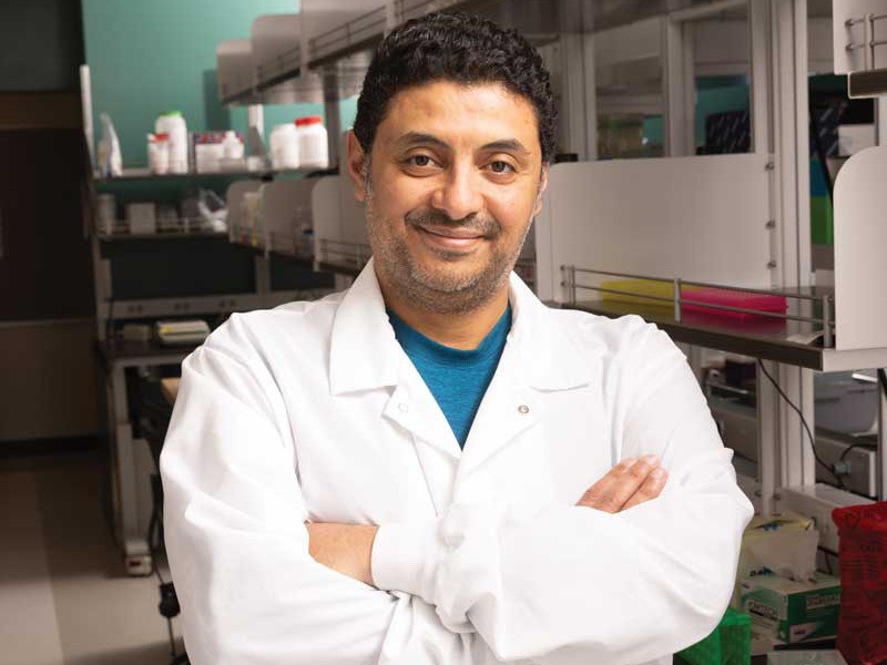 Mohammad Ali, assistant professor of pharmaceutical sciences, directs the capstone program.