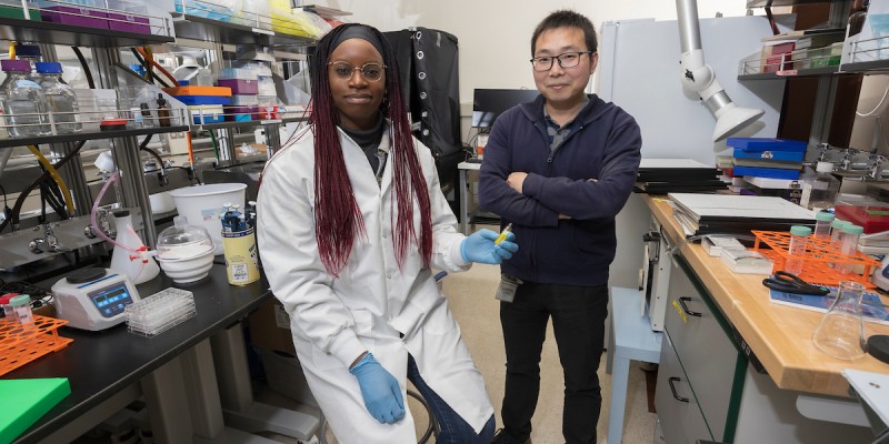 PhD student Dorcas Matuwana, left, and Assistant Professor Qianbin Wang from Binghamton University's Thomas J. Watson College of Engineering and Applied Science have published research about a possible better glaucoma treatment.