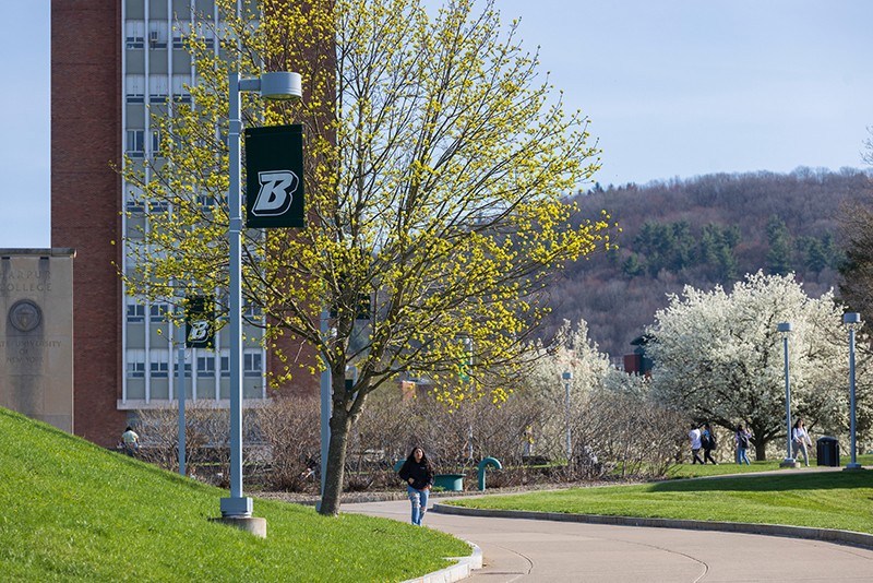 More than two dozens Binghamton University faculty and staff members will be honored with chancellor's and provost's awards at a dinner this fall.
