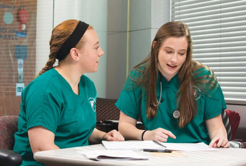 A magical experience: Binghamton nursing student interns at Disney