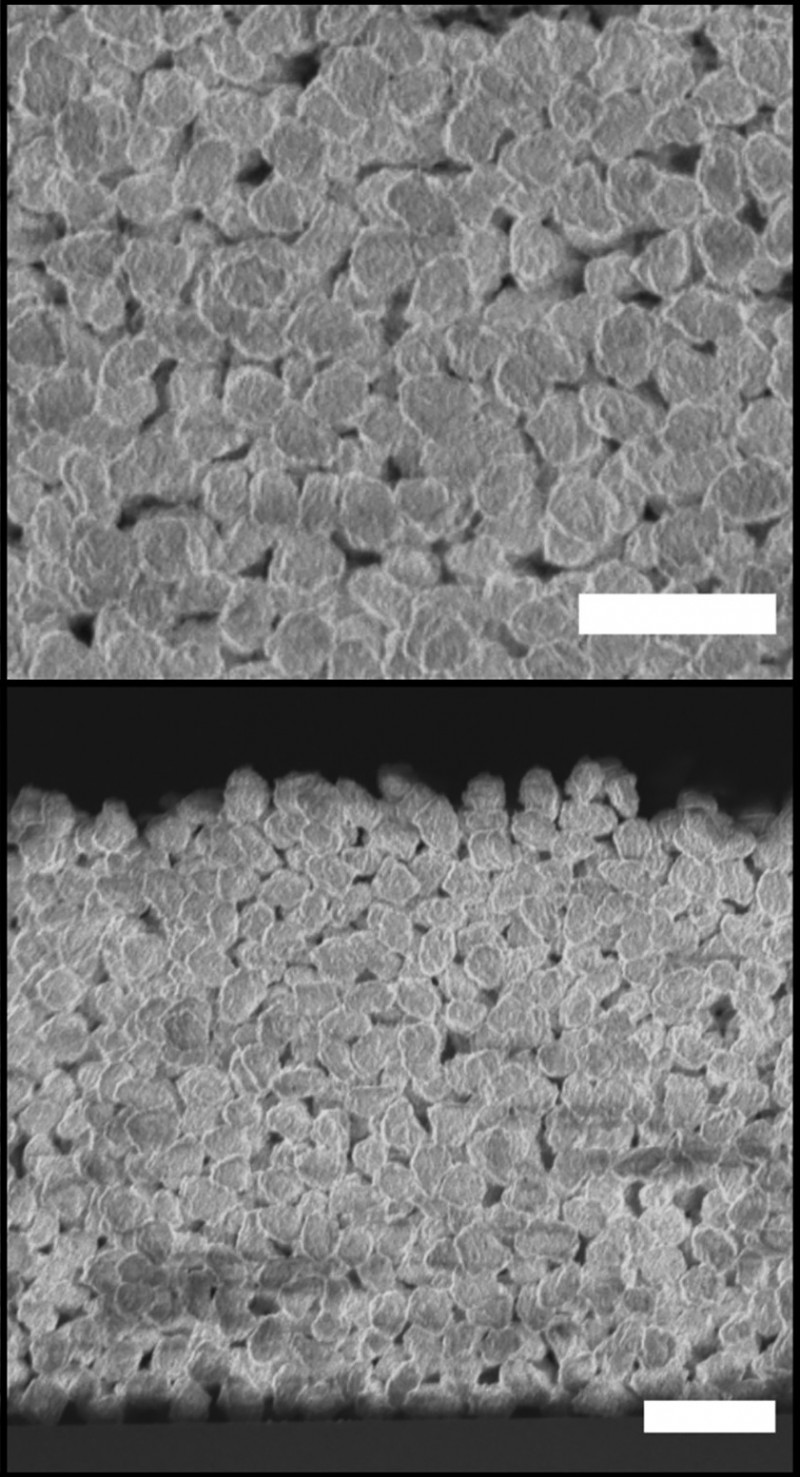 Top and side view of polyimide coating created using electrospray deposition