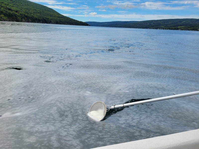 Richard W. Smith and Stella C. Woodard, affiliated faculty in Binghamton University's Earth Sciences Department, collect foam from the surface of Canandaigua Lake.