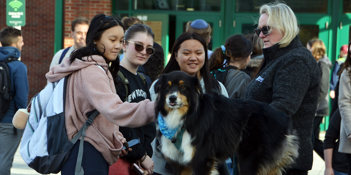 Students destress with dogs during Stress-free Bing's Pet a Pooch event.