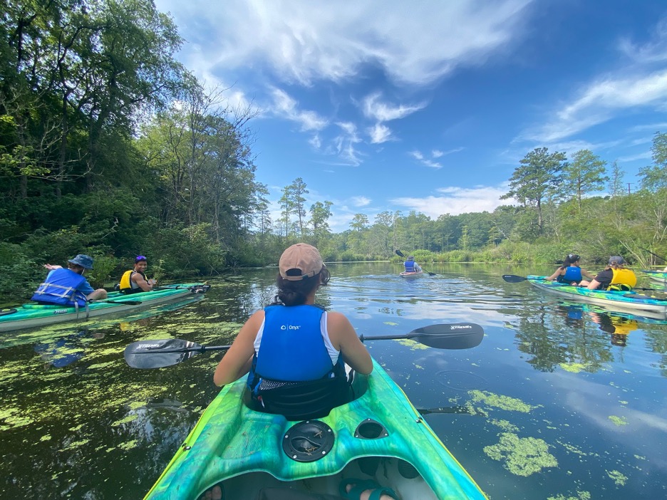 Summer courses give students the chance to study marine ecosystems