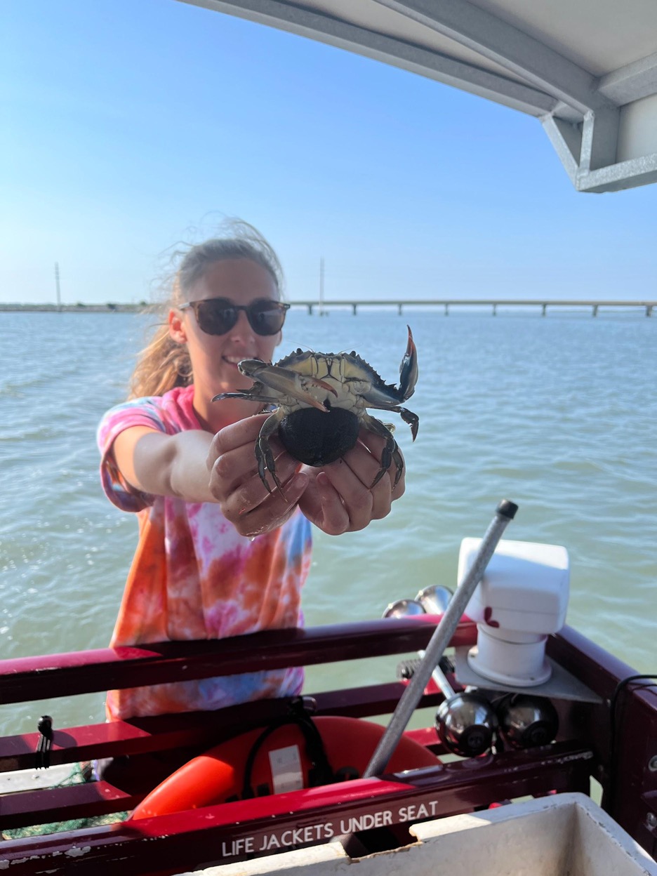 Summer courses give students the chance to study marine ecosystems