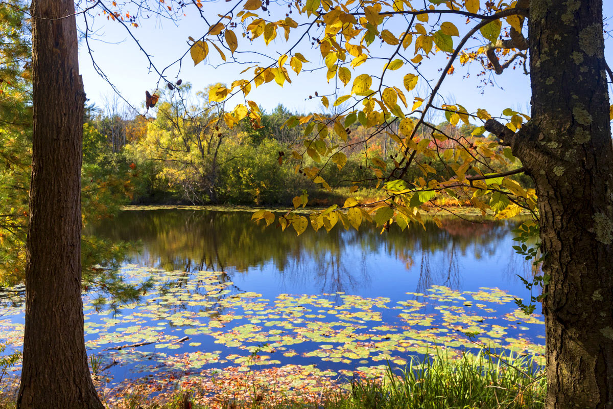 David and Ford Schumann, sons of Robert F. Schumann donated Nuthatch Hollow to Binghamton University.