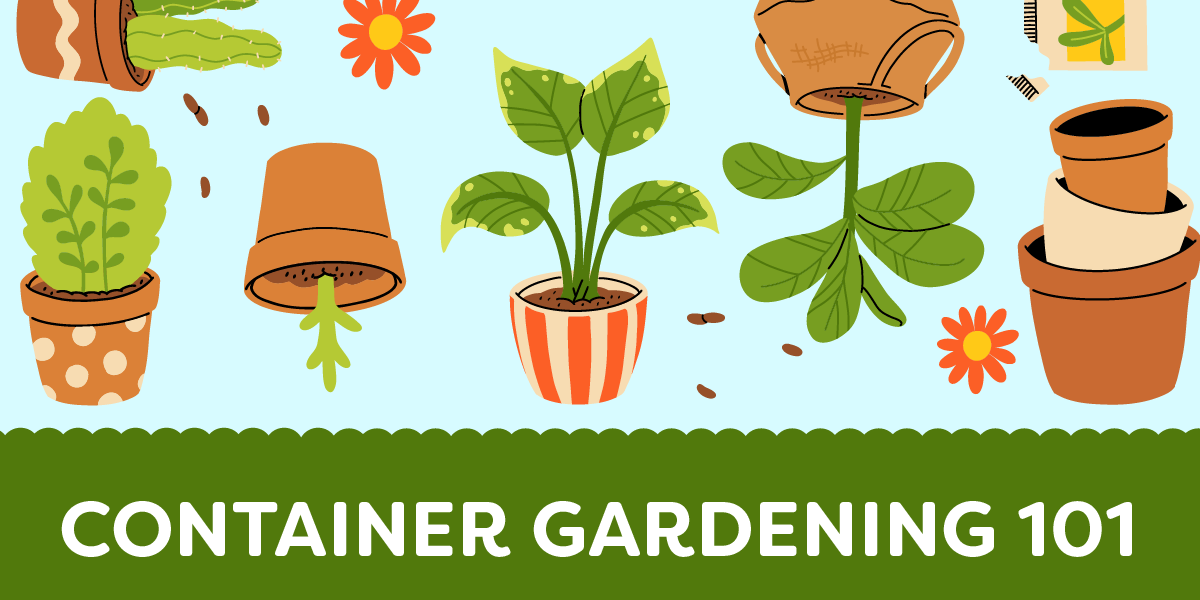 Container Gardening