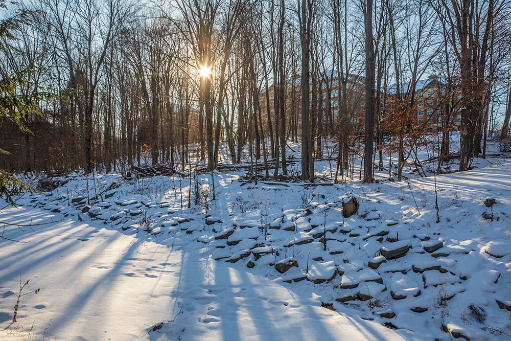 Newing College in the Winter Daily Photo Jan 19 2015 Binghamton