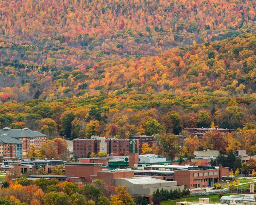 Fall foliage - Daily Photo: Dec 27 2017 - Binghamton University