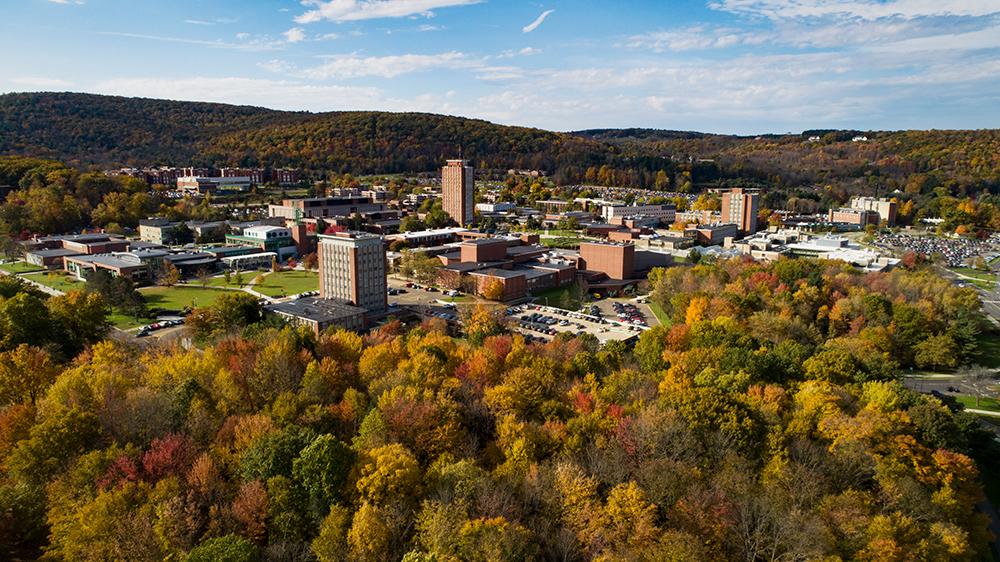 Fall foliage Daily Photo Nov 01 2018 Binghamton University