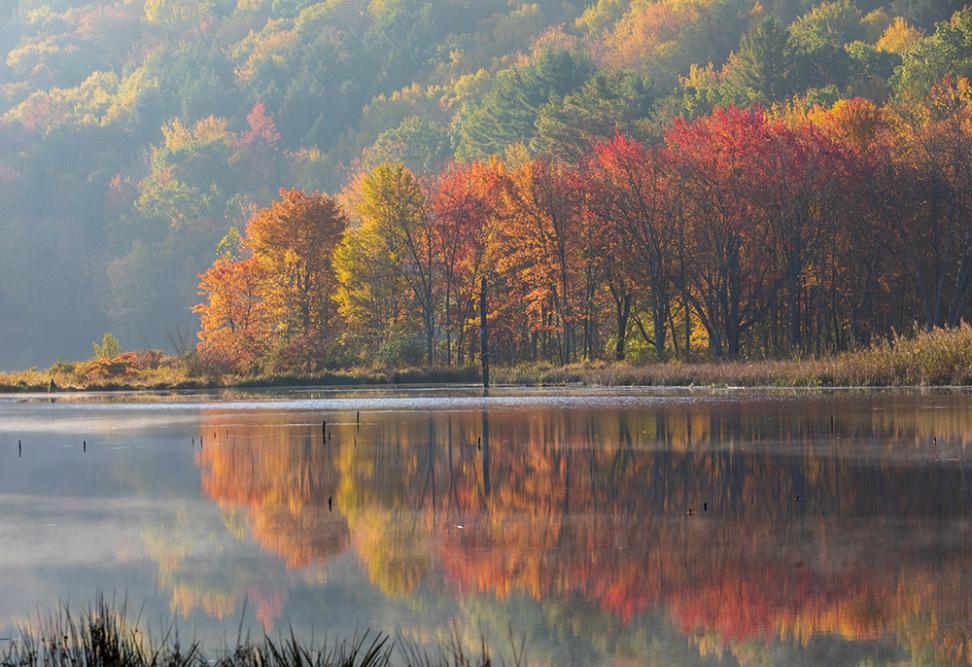 Fall foliage at the Nature Preserve