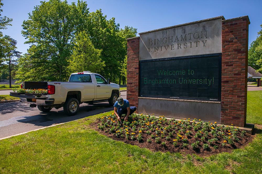 Planting flowers around campus 