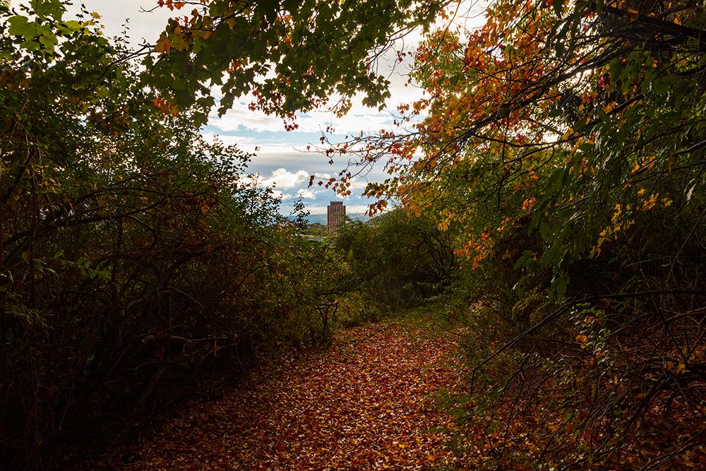 Surrounded by autumn 