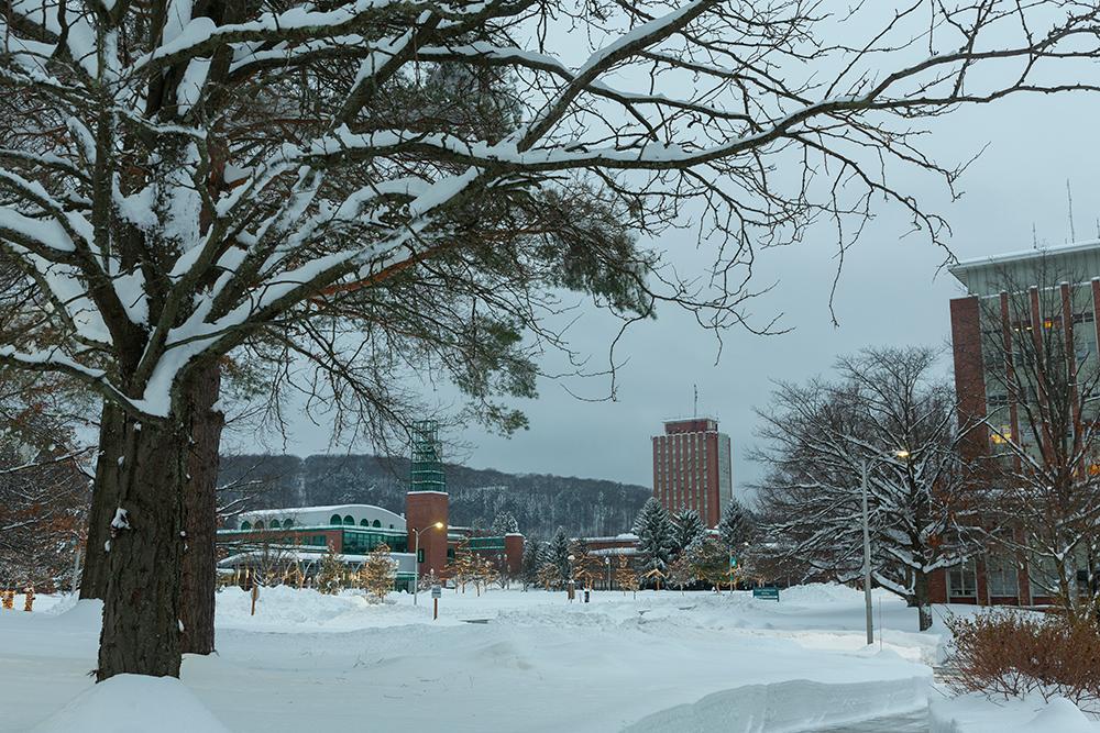 Record-setting snowfall