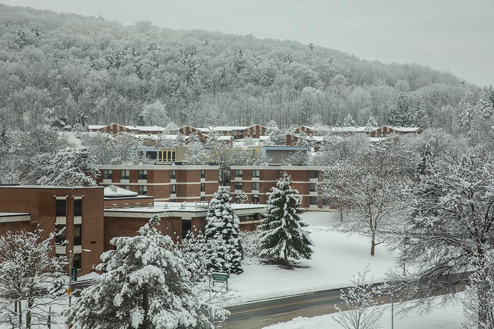 A view from the library 