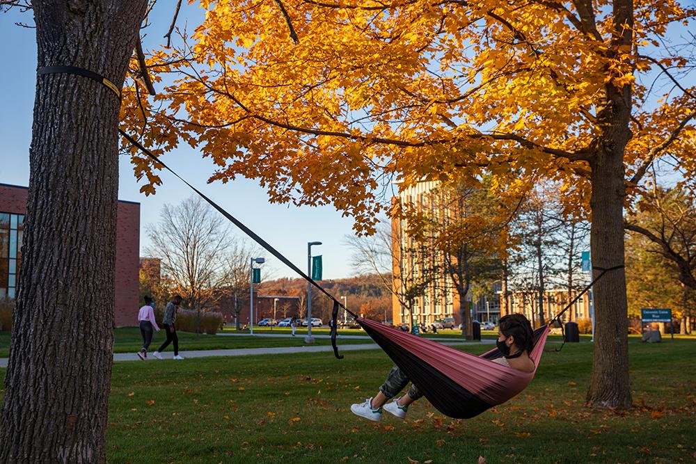 Relaxing in the autumn sun 