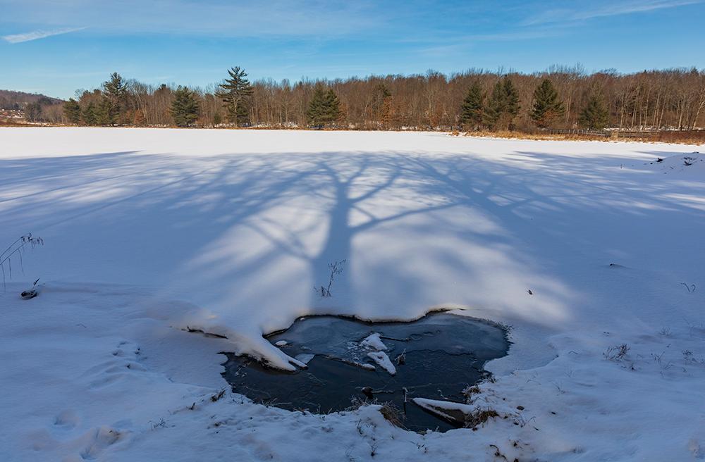 Winter's long shadows