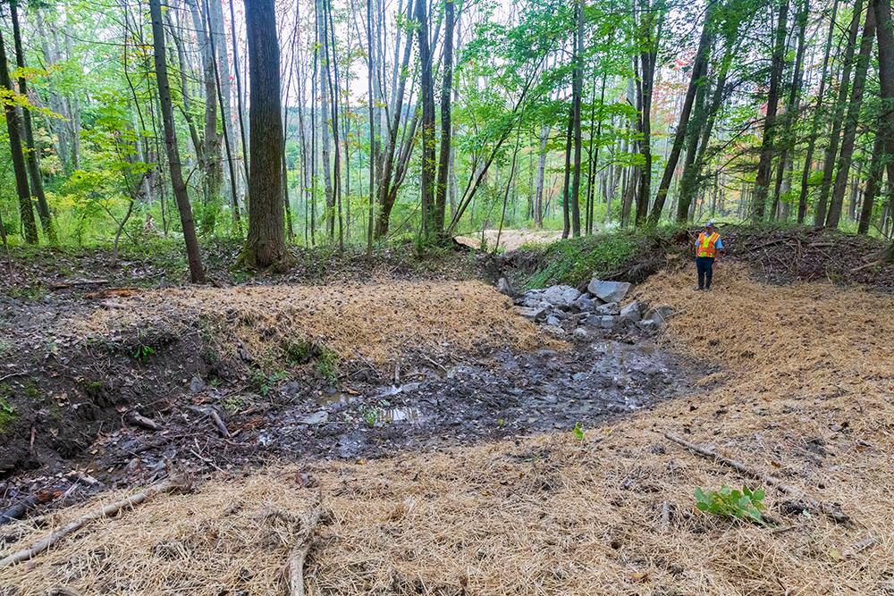 Nuthatch Hollow: Improvements stem erosion, promote wildlife habitat