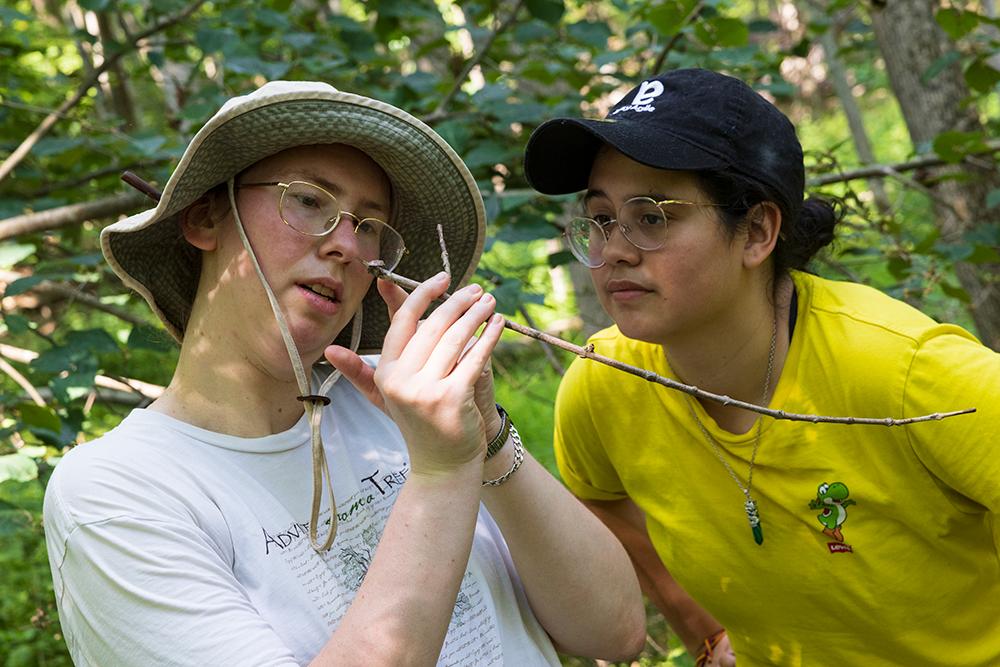 Lab and field: Summer is a time for student research