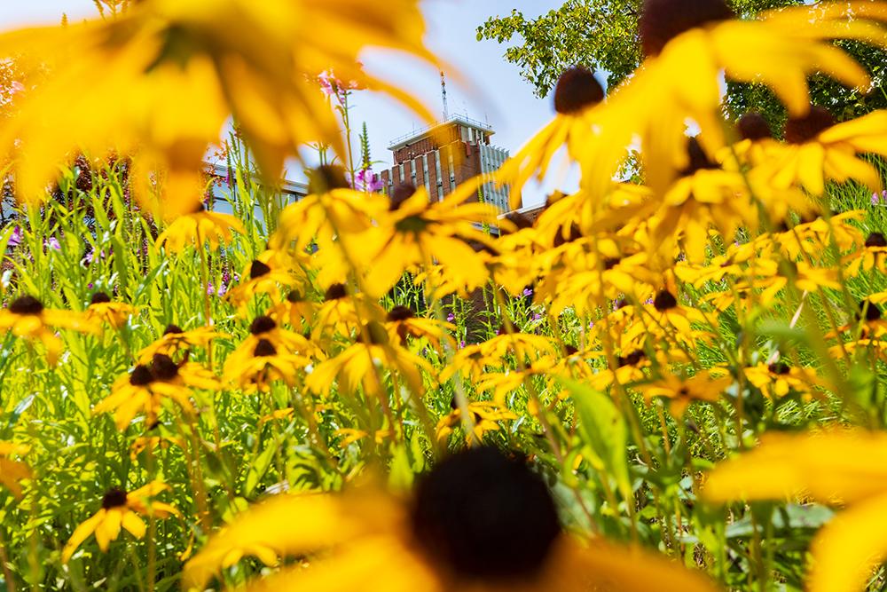 Binghamton ranked among ‘Top Colleges in America’ by Forbes