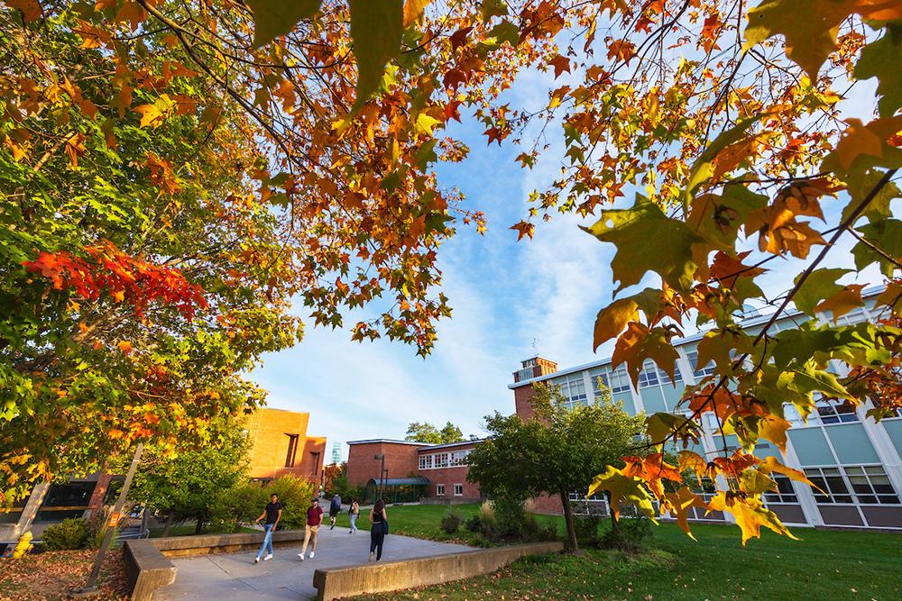 Signs of Autumn 