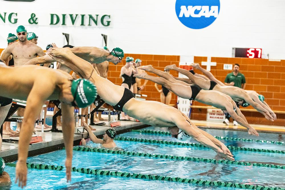 Binghamton Swimming and Diving 