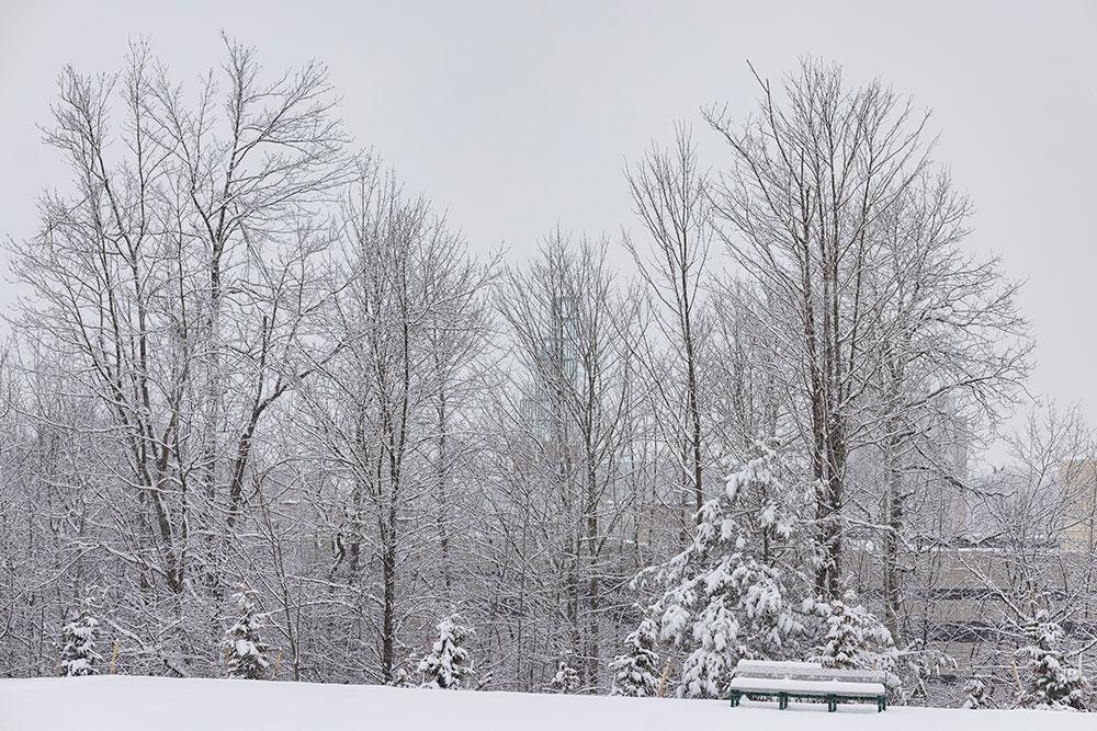 First snow 