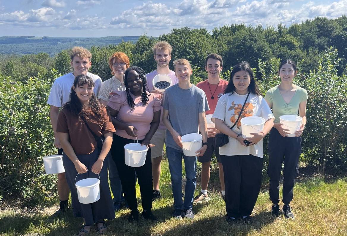 Blueberry picking