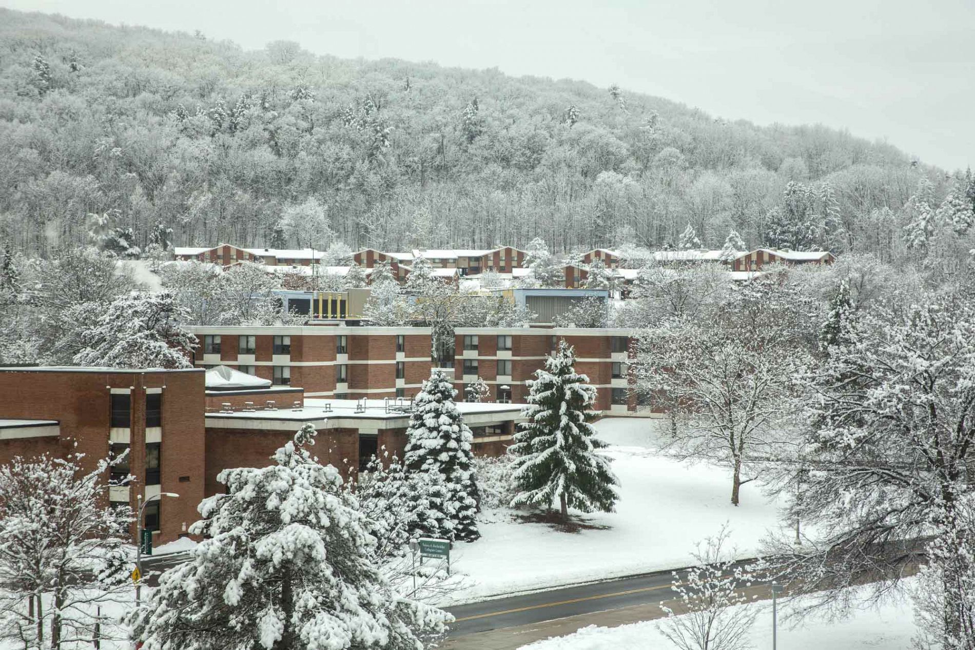 Residential Life | Binghamton University